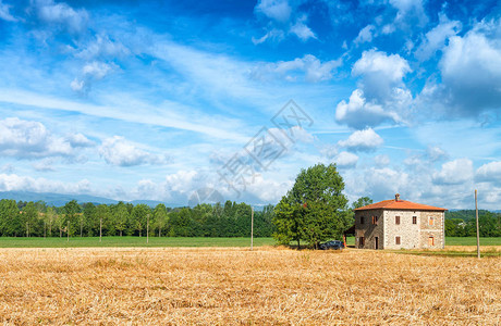 农村土地上的农场图片