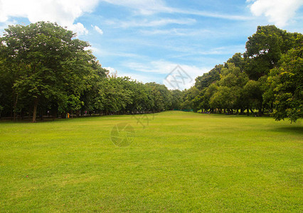 绿草树在美丽的公园白云蓝天中午图片