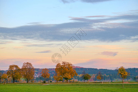 德国巴伐利亚阿尔卑斯山田园诗般的秋景图片