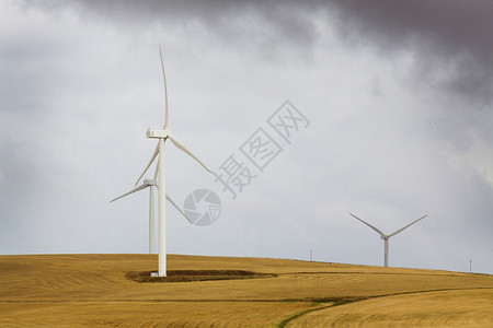 南非的风力发电农场安装发电图片