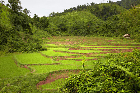老挝风景图片