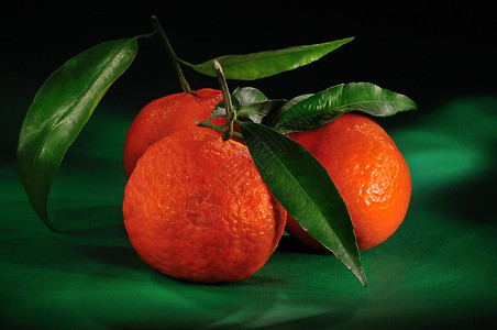 三种橙色橘子柑橘绿织物图片