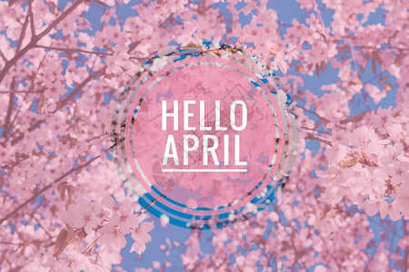 春焕新横幅你好四月你好春天四月你好欢迎卡我们正在等待新的春天春月春插画