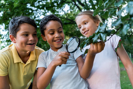 快乐的多元文化儿童通过放大镜看树叶图片