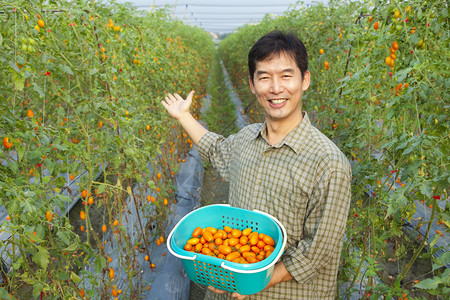 成功的亚洲农民在他的农场图片
