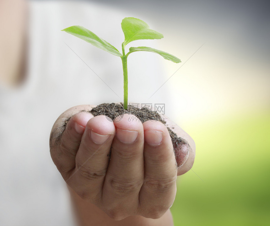 男人手里拿着植物图片