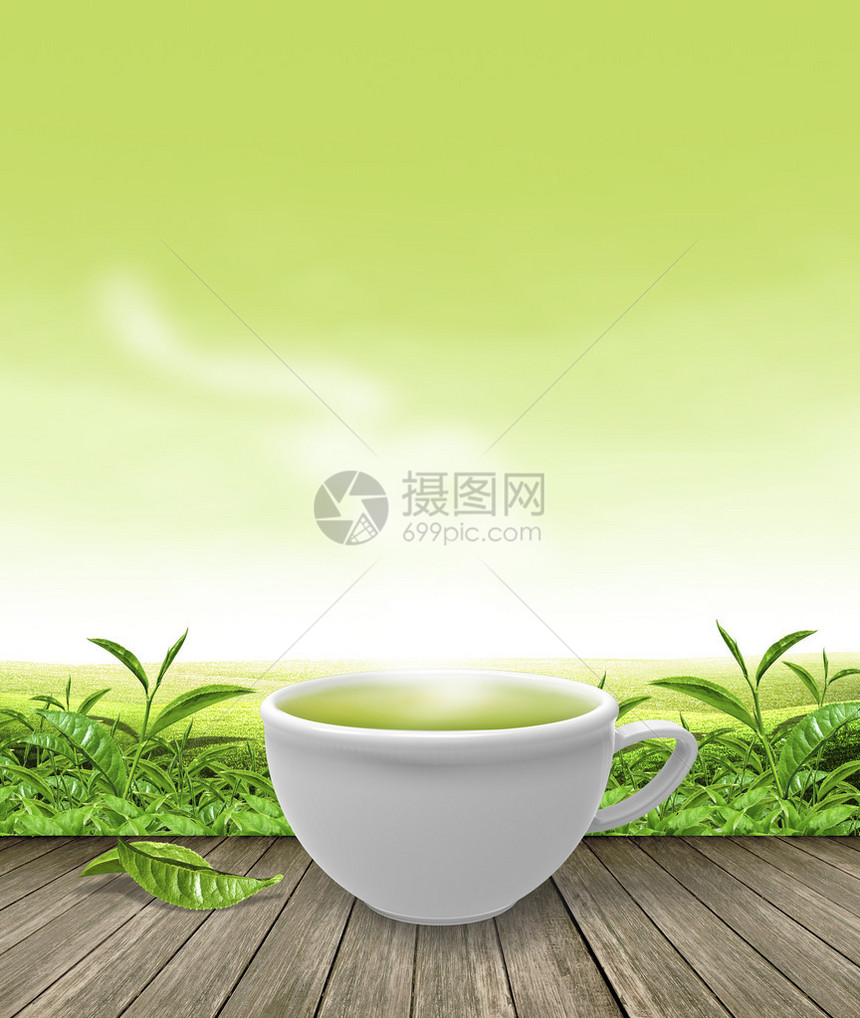绿茶种植和绿色颜背景的绿茶杯图片