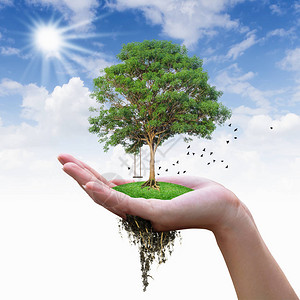 想绿色生态概念树在手背景图片