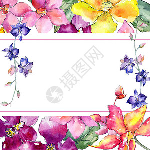 盂兰水彩风格的野花兰框设计图片
