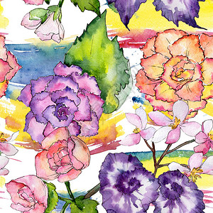 水彩风格的野花秋海棠花卉图案图片