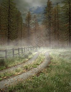 雾中的森林之路图片
