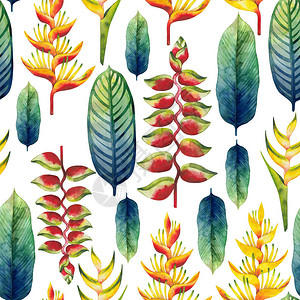 七叶树科植物水颜色的七相间无缝模式手画着异插画