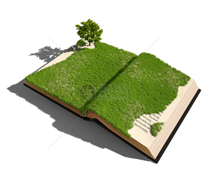 打开有草和树的书图解概念图片