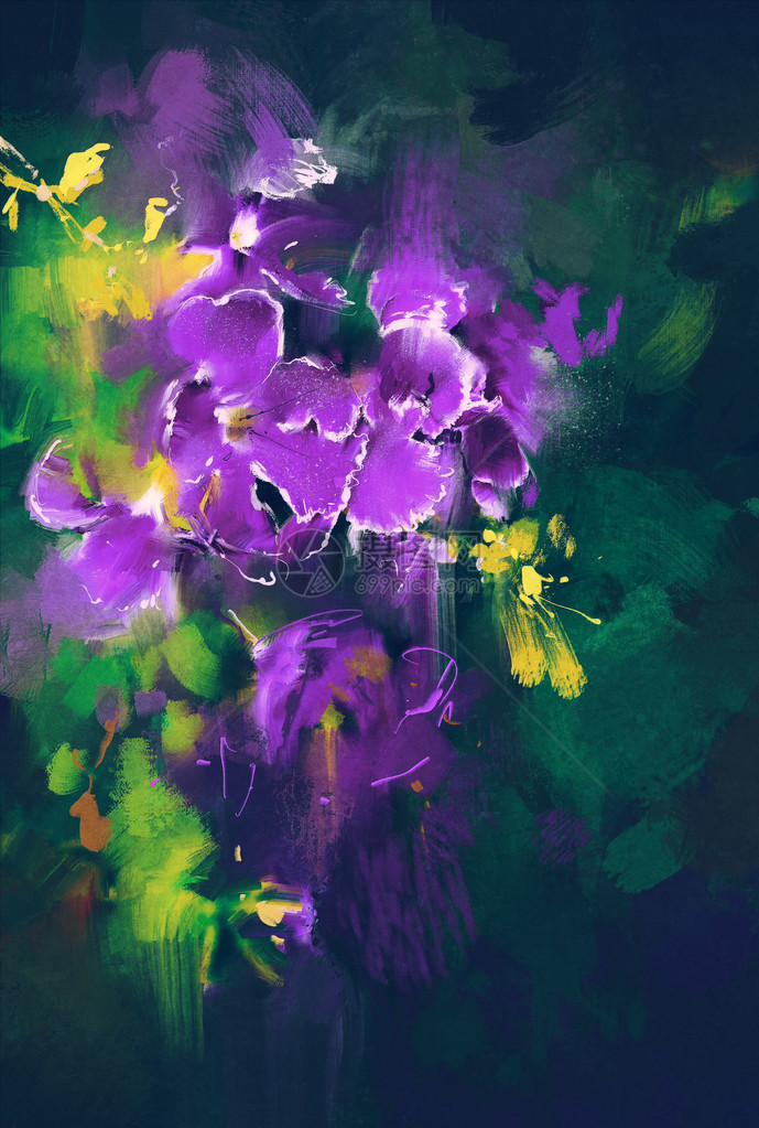 黑色背景的美丽的紫色花朵图片