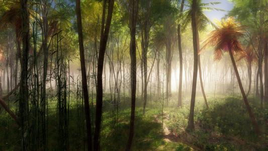 有棕榈树的热带森林在薄雾中图片