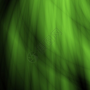 绿色生树草抽象背景图片