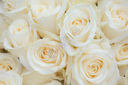 白花装饰婚礼花卉装饰图片