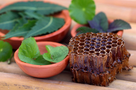 蜂蜜梳子药材图片