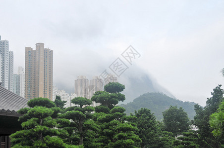 香港沙田中央公园图片