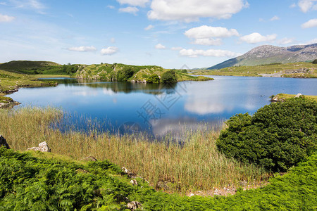爱尔兰的景观加尔韦图片