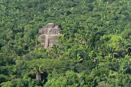 伯利兹热带雨林中LamanaiMaya废图片