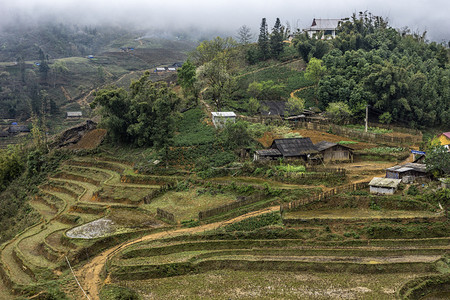 高海拔地区有未开垦的稻田和雾的冬季场景图片