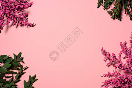 粉红色桌面上美丽的花朵和树背景图片