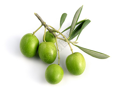 绿橄榄与孤立的橄榄树枝图片