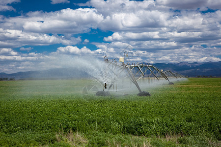 在阿尔法田地的农业灌溉图片