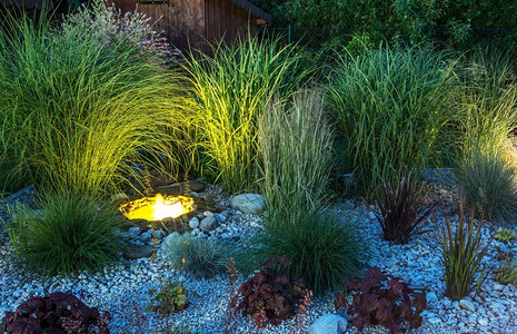 后院花园照明带照明小池塘的花园图片