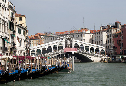 威尼斯的里亚托桥图片