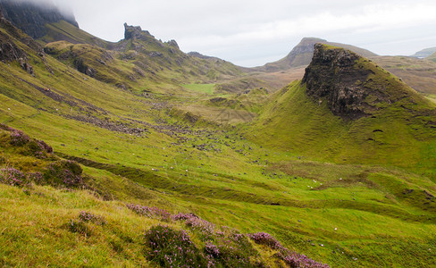 联合王国苏格兰斯凯岛Trotternish地区的交际图片