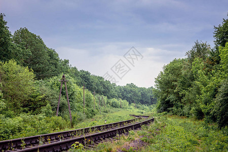 穿越森林的铁路旅行和商务旅行通图片
