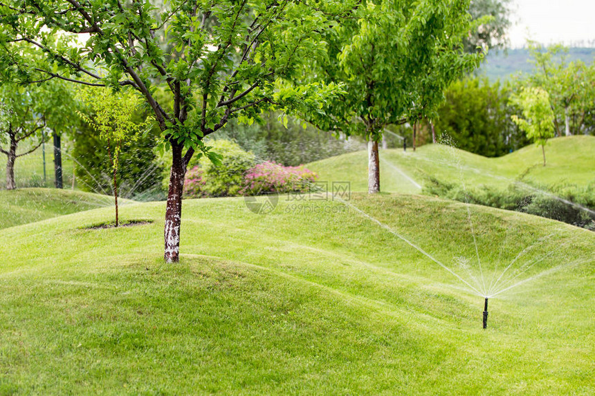 自动喷洒器在青草坪覆盖的山丘上浇图片
