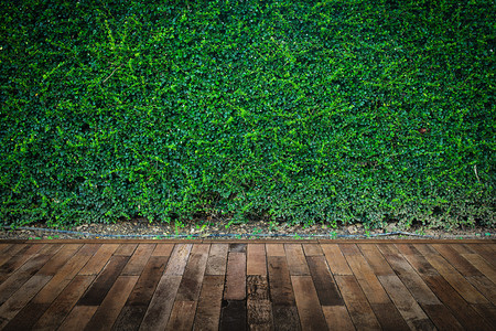 与木地板的绿色墙壁纹理背景图片