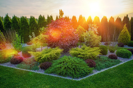日落时装的罗克瑞后院花园图片