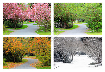 春夏秋冬四季在同一条街上拍到照片图片
