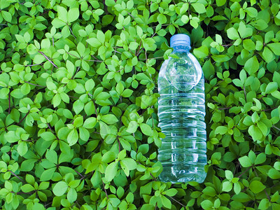天然的新鲜绿叶中的小塑料瓶清洁矿泉水背景图片