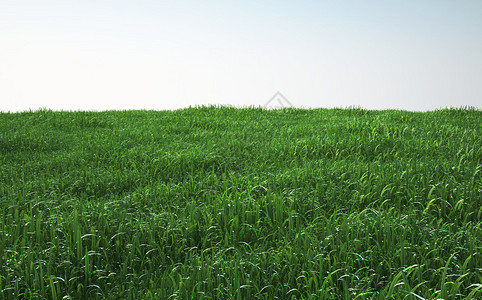 普利特维采湖群国家公园软草场带特写的透视图3d插图设计图片