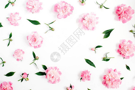 粉红色牡丹花树枝叶子和花瓣的框架图片