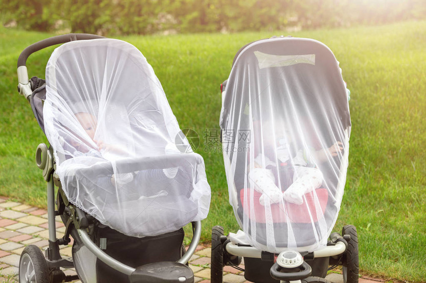 两个婴儿在婴儿车上行走时覆盖着防护网带防蚊白色罩的婴儿车在户外步行季节为儿童图片