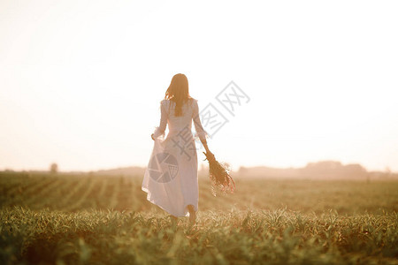 在玉米田上穿长白色带子裙的年轻女子图片