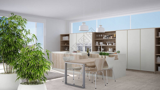 Zen内地有竹制植物天然室内设计概念现代白色厨房图片