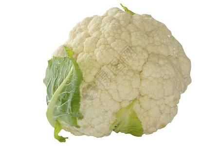 白色背景上的花椰菜头图片