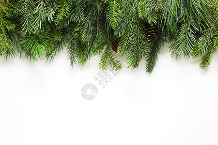 圣诞树枝背景图片