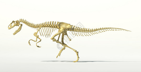 古埃尔公园阿龙恐光学和现实物理学的骨架设计图片