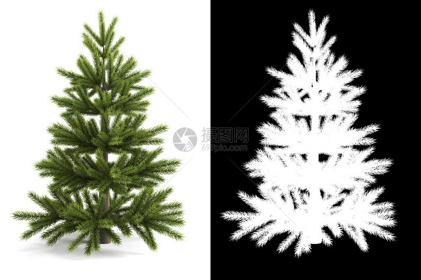 圣诞树旁边是隔离的黑白面图片