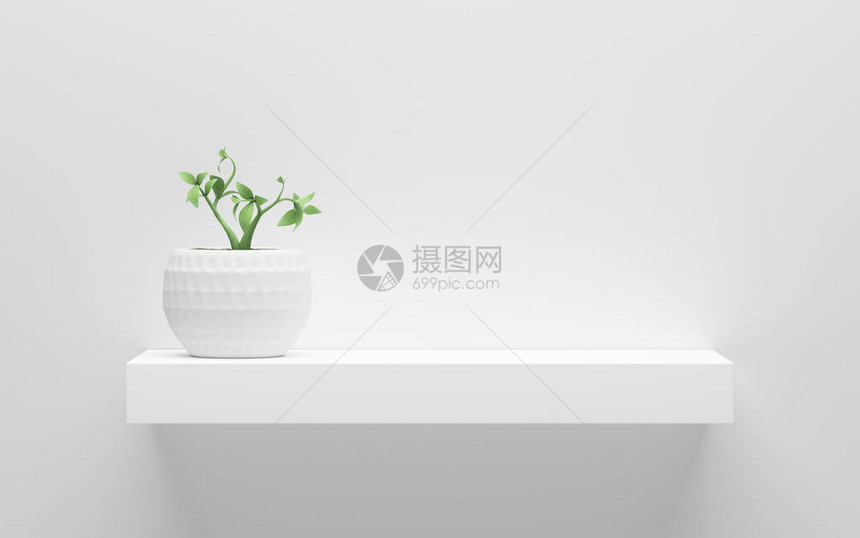 白架色墙上加绿色锅装植物图片