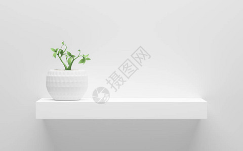 白架色墙上加绿色锅装植物背景图片