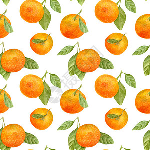 水彩橘无缝图案手绘植物插图的普通话水果与叶子白色背景中分离的柑橘植物图片